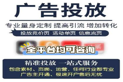 不同平台的SEM广告投放比较及成功案例分析